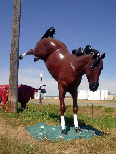 Bucking Horse