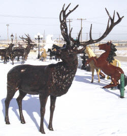 Bull Elk (Head Turned)